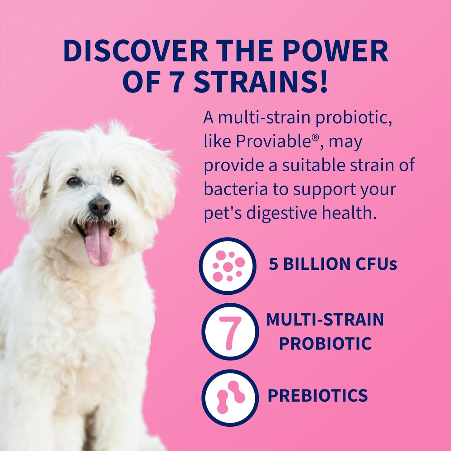 Nutramax Proviable Probiotics for Dogs and Cats
